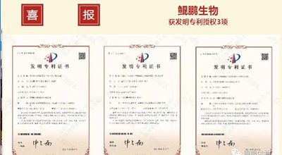 金沙集团www3354cc生物 | 核心平台技术获得中国发明专利